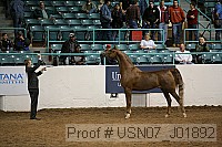 usn07_j01892 proof
