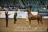 usn07_j01893 proof