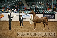 usn07_j01894 proof