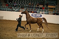 usn07_j01897 proof