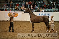 usn07_j01900 proof