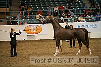 usn07_j01902 proof
