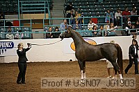 usn07_j01903 proof