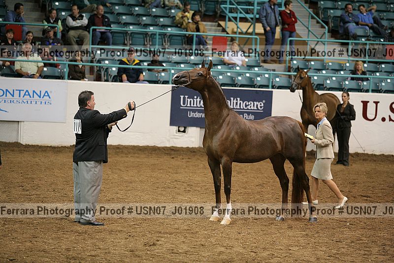Proof usn07_j01908