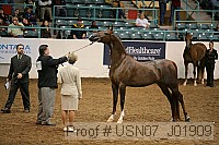 usn07_j01909 proof