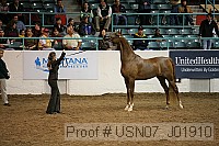 usn07_j01910 proof