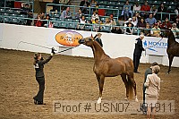 usn07_j01911 proof