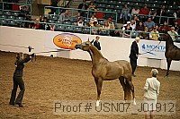 usn07_j01912 proof
