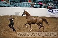 usn07_j01913 proof