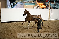usn07_j01915 proof