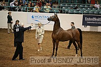usn07_j01918 proof