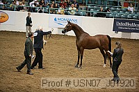 usn07_j01920 proof