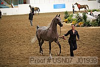 usn07_j01939 proof