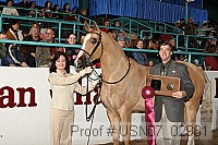 usn07_02981 proof