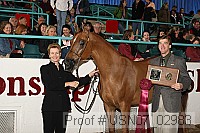 usn07_02983 proof