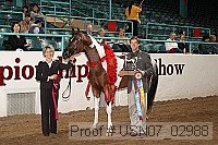 usn07_02988 proof