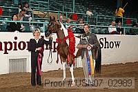 usn07_02989 proof