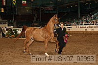 usn07_02993 proof