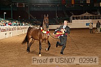 usn07_02994 proof