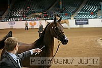 usn07_j03117 proof