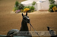 usn07_j03122 proof