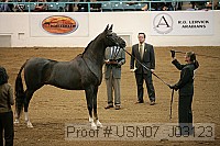 usn07_j03123 proof