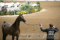usn07_j03129 proof