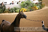 usn07_j03130 proof