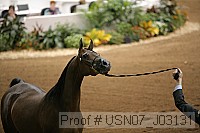 usn07_j03131 proof