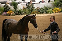 usn07_j03133 proof