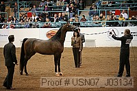 usn07_j03134 proof