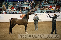 usn07_j03135 proof