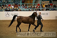 usn07_j03139 proof