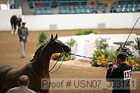 usn07_j03141 proof