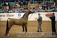 usn07_j03146 proof