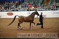usn07_j03147 proof