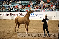 usn07_j03149 proof