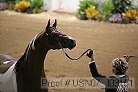 usn07_j03151 proof