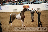 usn07_j03154 proof