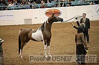 usn07_j03157 proof