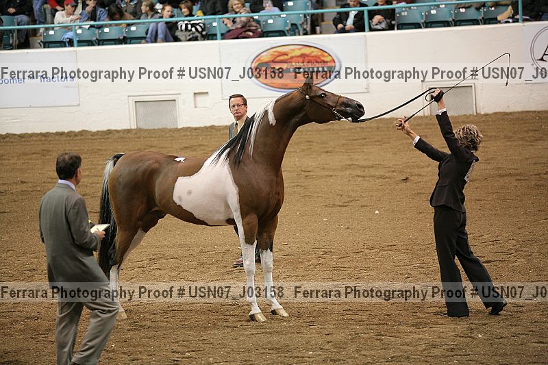 Proof usn07_j03158