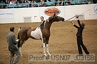 usn07_j03158 proof