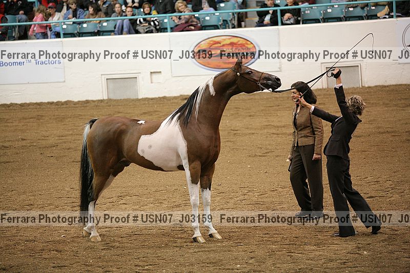 Proof usn07_j03159