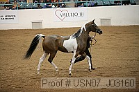 usn07_j03160 proof