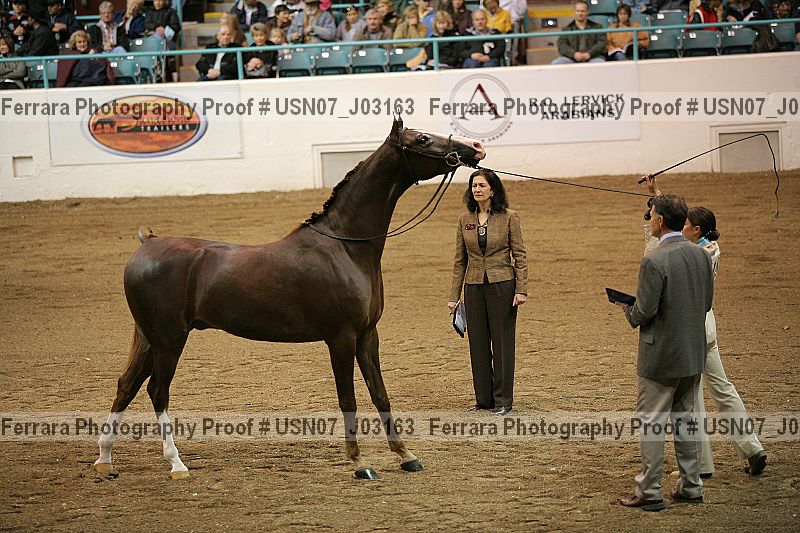 Proof usn07_j03163