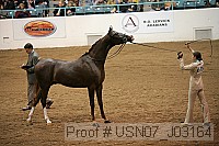 usn07_j03164 proof