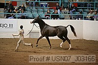 usn07_j03165 proof
