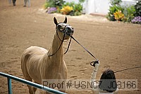 usn07_j03166 proof