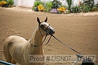 usn07_j03167 proof