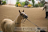 usn07_j03168 proof
